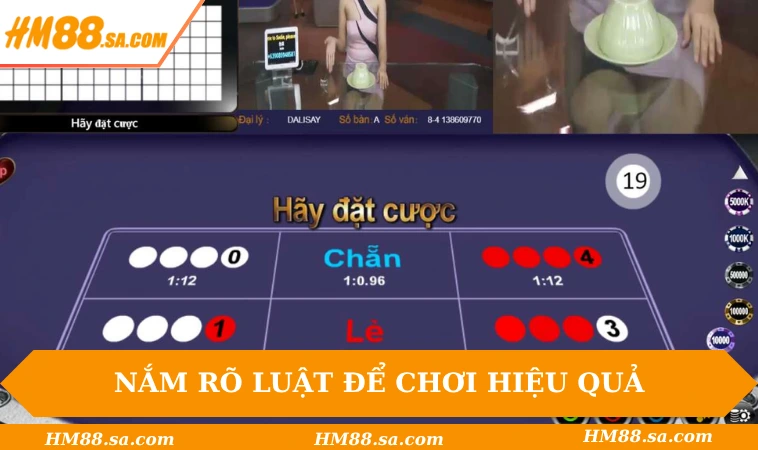 Cách Chơi Xóc Đĩa Giúp Tân Binh Chơi Chắc Tay, Thưởng Lớn 1 Tân binh phải nắm rõ luật để chơi hiệu quả